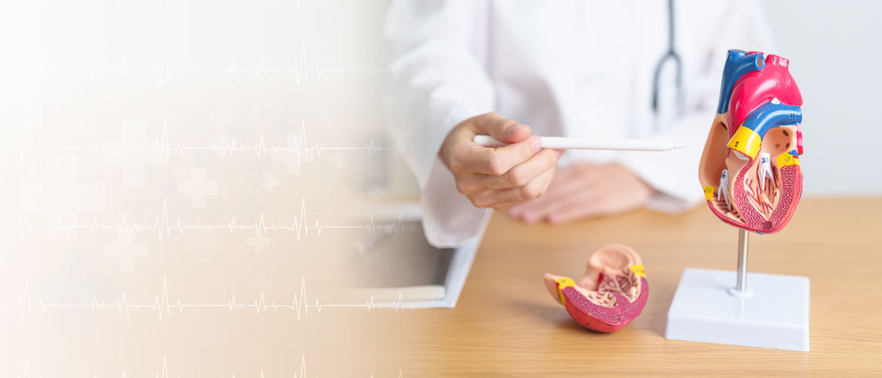 Чекапы «Проверь кардиальные риски» и «Кардиоскрининг»