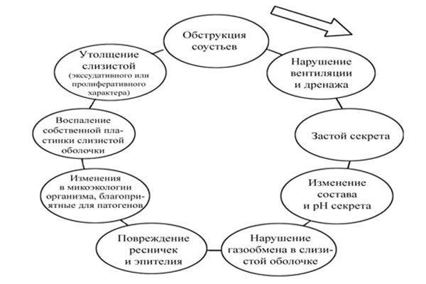 Порочный круг процессов в пазухе с обтурированным отверстием