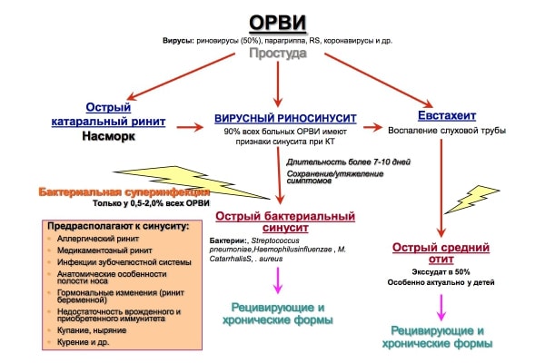 Патогенез развития воспаления в околоносовых пазухах и среднем ухе при ОРВИ