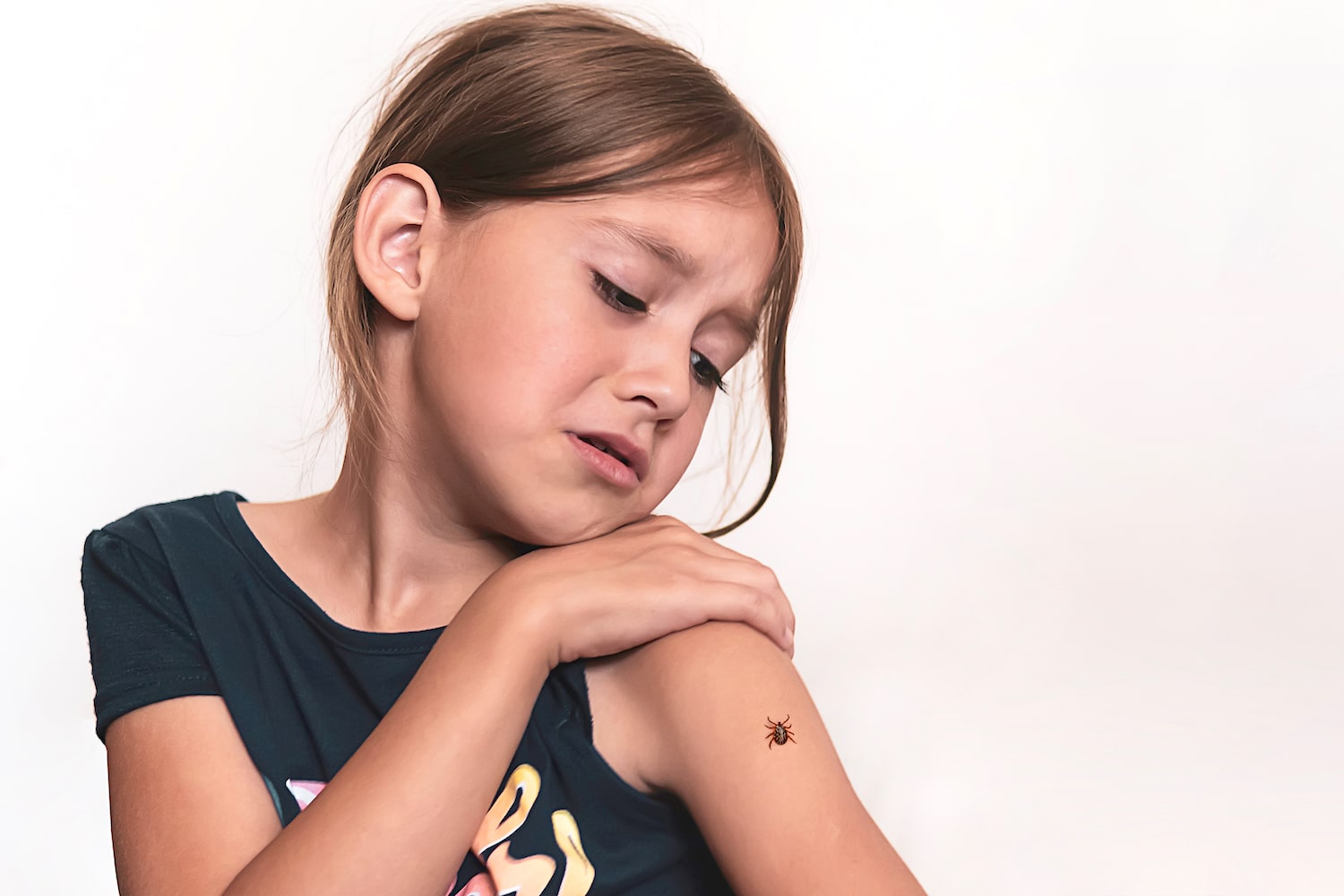 Симптомы энцефалита после укуса клеща