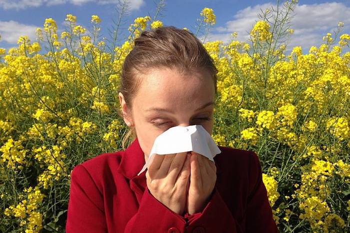 Сезонная аллергия. Лечиться или смириться?